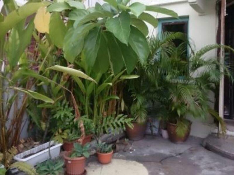 28 Bahari Hotel George Town Exterior photo